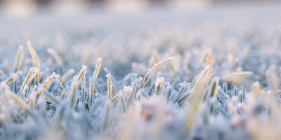 GAME OFF
