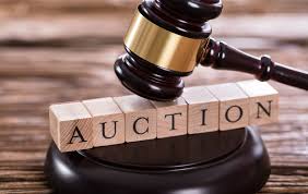 Auction Items- Place your bid